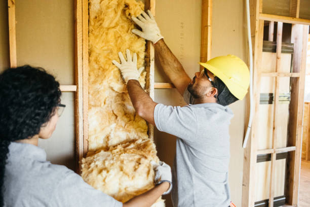 Best Insulation Contractors for Homes  in Central Square, NY