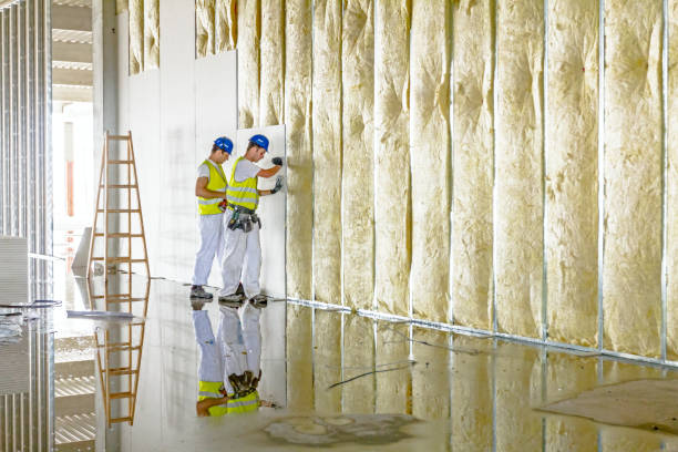 Best Attic Insulation Installation  in Central Square, NY